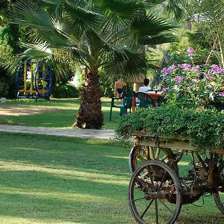 Hotel Aska Baran Avsallar